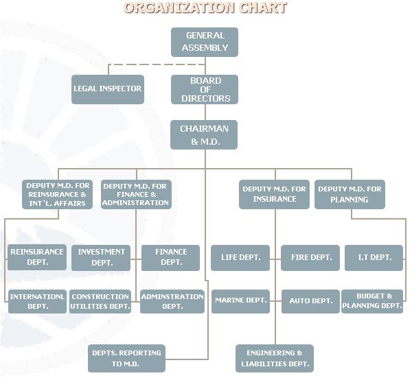 Insurance Organization Chart